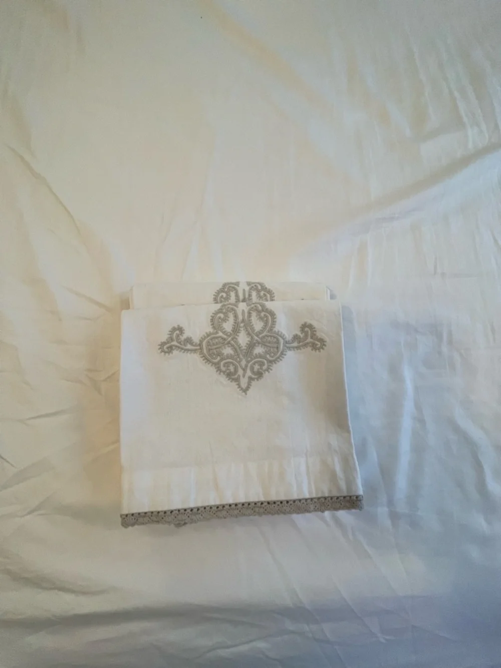 Pottery Barn Decorative Cotton Guest Hand Towels - Set of 2